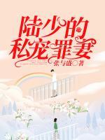 陸少的私寵罪妻