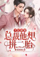 千億豪寵：總裁他想拼二胎