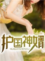 護(hù)國神婿