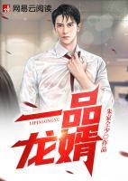 一品龍婿