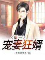 第一寵妻狂婿
