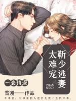 一念情深：靳少逃妻太難寵