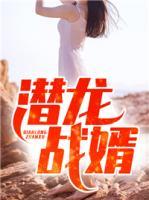 潛龍戰(zhàn)婿