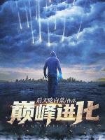 巔峰進(jìn)化
