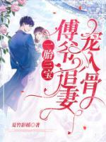 一胎三寶：傅爺，追妻寵入骨