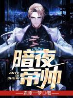 暗夜帝帥