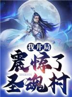 我開局震驚了圣魂村