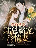 強婚鎖愛：陸總霸寵冷情妻