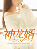 神龍婿