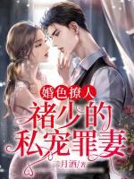婚色撩人：禇少的私寵罪妻