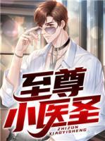 至尊小醫(yī)圣