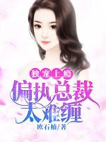 獨寵上癮：偏執(zhí)總裁太難纏