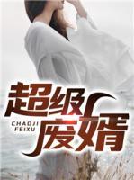 超級廢婿