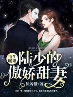 重生暖婚，陸少的傲嬌甜妻