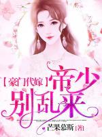 豪門代嫁，帝少別亂來