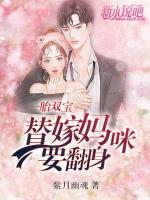 一胎雙寶：替嫁媽咪要翻身