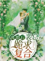 離婚后，裴總跪求復(fù)合