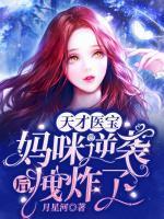 天才醫(yī)寶：媽咪逆襲后拽炸了