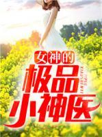 女神的極品小神醫(yī)