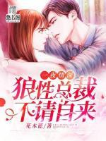 一夜情深：狼性總裁，不請自來