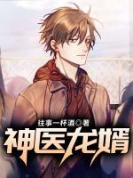 神醫(yī)龍婿