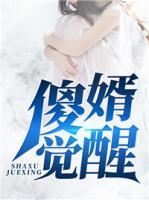 傻婿覺醒