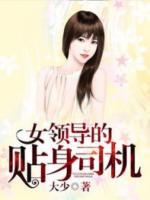 女領(lǐng)導(dǎo)的貼身司機(jī)