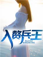 入贅兵王