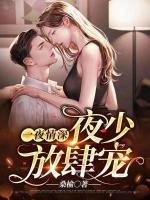 一夜情深：夜少放肆寵