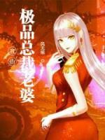 我的極品總裁老婆