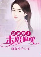 嬌妻撩人：未婚偷歡