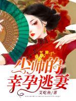 少帥的幸孕逃妻
