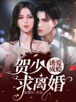 誘愛成癮：賀少，求離婚！