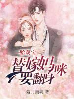 一胎雙寶：替嫁媽咪要翻身