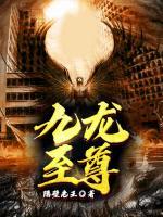 九龍至尊