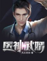 醫(yī)神武婿