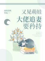 又見萌娃，大佬追妻要矜持