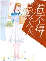 總裁大人惹不得