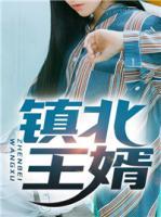 鎮(zhèn)北王婿