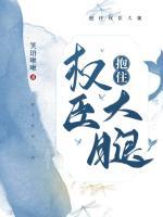 抱住權(quán)臣大腿