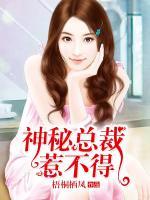 神秘總裁惹不得