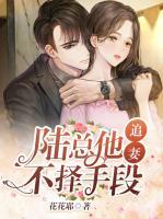 陸總他追妻不擇手段
