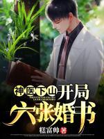 神醫(yī)下山：開局六張婚書