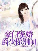 豪門寵婚，爵少你別鬧