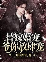 替嫁婚寵，爺你放肆寵