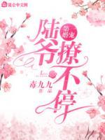 第一婚寵：陸爺，撩不停！
