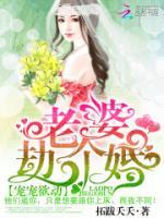 寵寵欲動：老婆，劫個(gè)婚