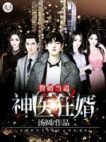 贅婿當(dāng)?shù)溃荷襻t(yī)狂婿