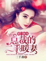 豪門獨寵，總裁的二手暖妻
