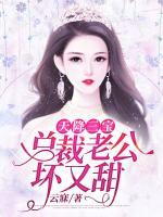 天降三寶：總裁老公壞又甜